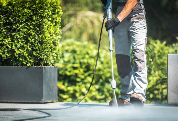 Best Dumpster Area Cleaning  in Horseheads North, NY